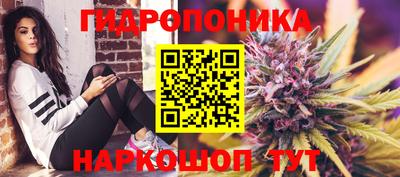 прущая мука Гай