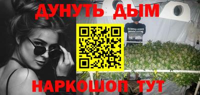 дживик Гатчина