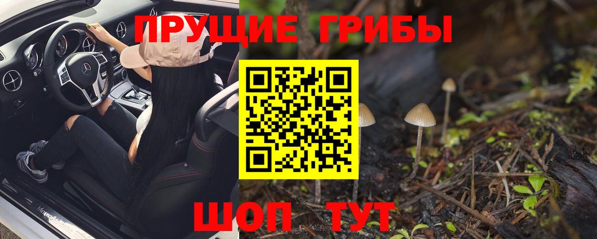 Истра  Псилоцибиновые грибы GOLDEN TEACHER  Вход с VPN 